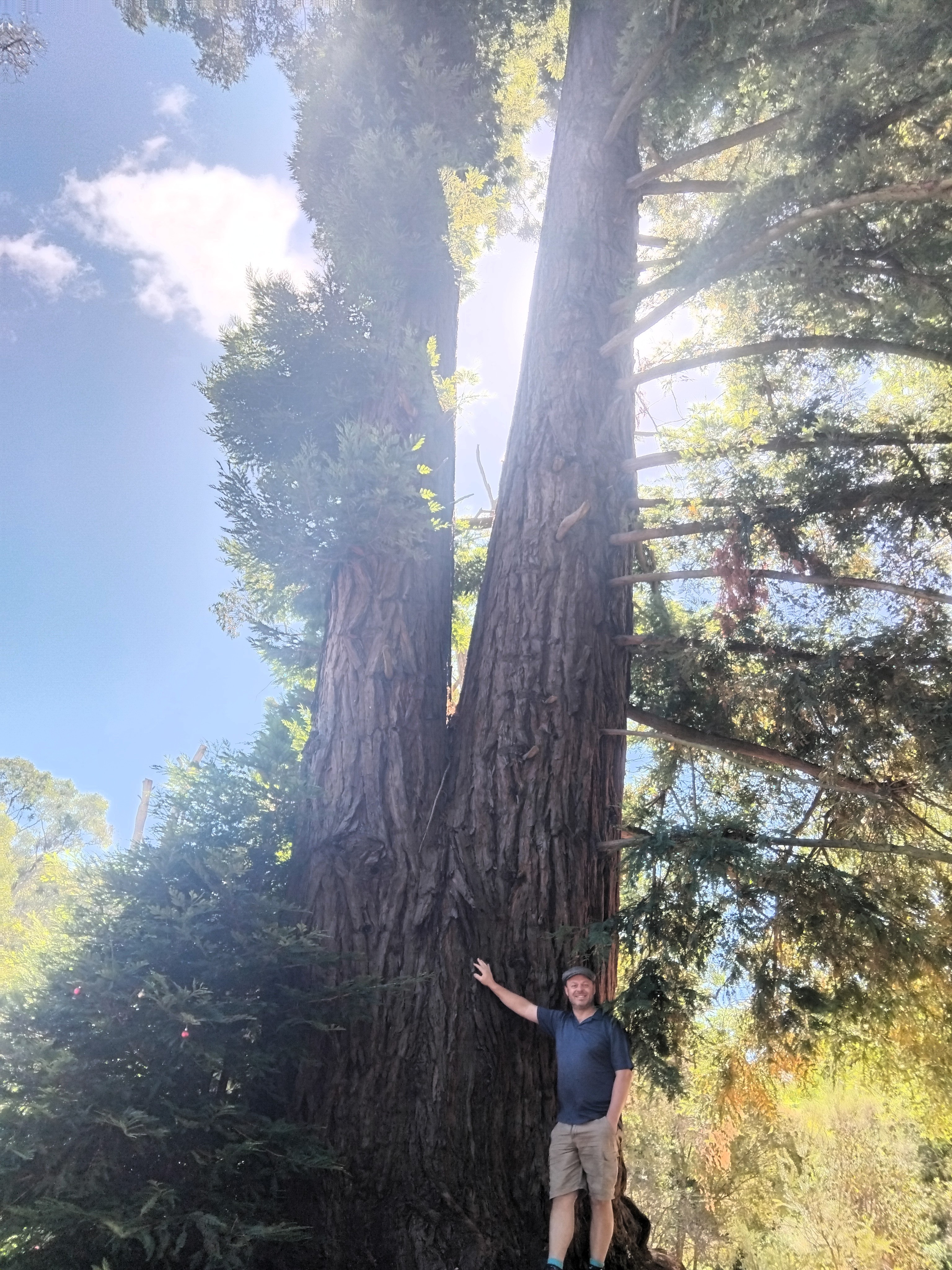 Martin Walsh, Founder of The Green Pins